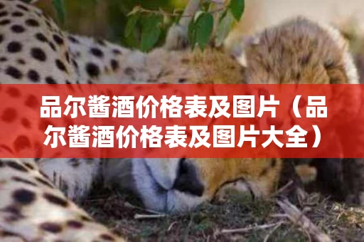 品尔酱酒价格表及图片（品尔酱酒价格表及图片大全）