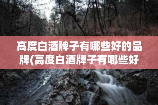 高度白酒牌子有哪些好的品牌(高度白酒牌子有哪些好的品牌呢)