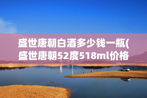 盛世唐朝白酒多少钱一瓶(盛世唐朝52度518ml价格)