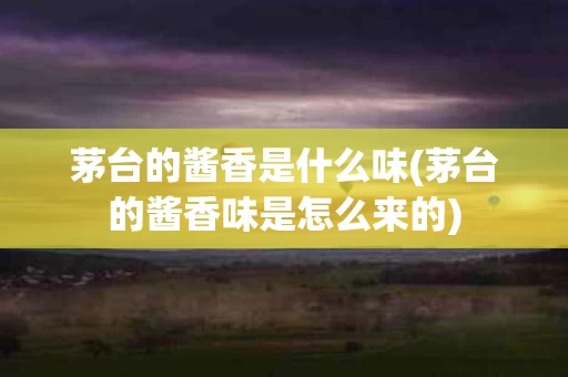 茅台的酱香是什么味(茅台的酱香味是怎么来的)