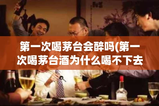 第一次喝茅台会醉吗(第一次喝茅台酒为什么喝不下去)