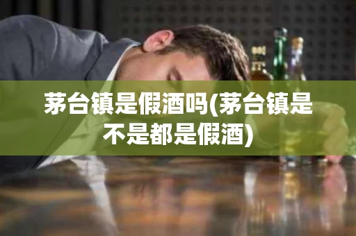 茅台镇是假酒吗(茅台镇是不是都是假酒)