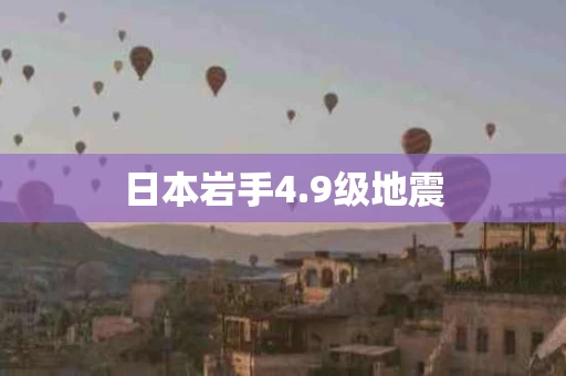 日本岩手4.9级地震