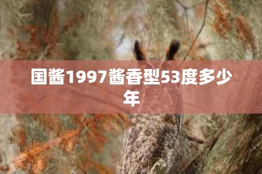 国酱1997酱香型53度多少年