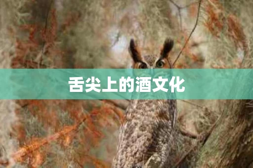 舌尖上的酒文化