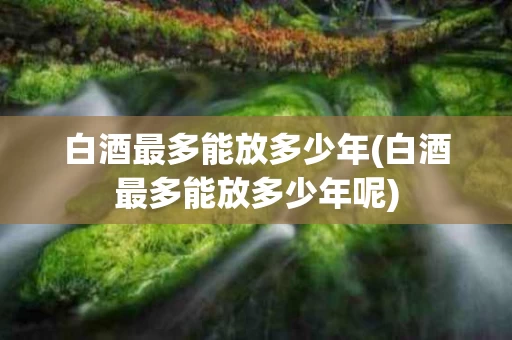 白酒最多能放多少年(白酒最多能放多少年呢)