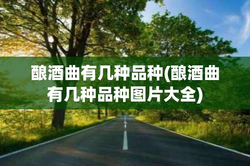 酿酒曲有几种品种(酿酒曲有几种品种图片大全)