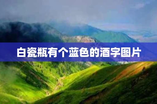白瓷瓶有个蓝色的酒字图片