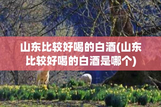 山东比较好喝的白酒(山东比较好喝的白酒是哪个)