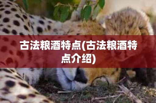 古法粮酒特点(古法粮酒特点介绍)