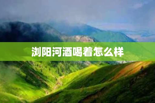 浏阳河酒喝着怎么样