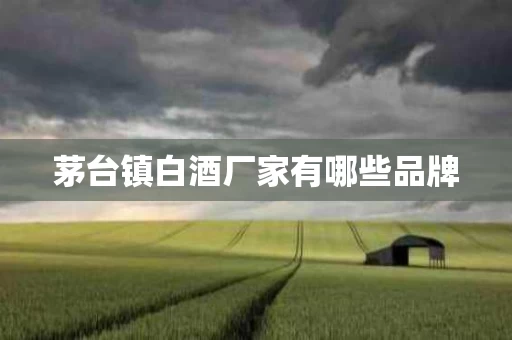 茅台镇白酒厂家有哪些品牌
