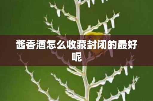 酱香酒怎么收藏封闭的最好呢
