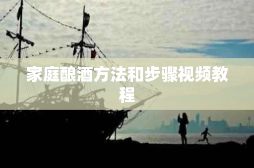 家庭酿酒方法和步骤视频教程