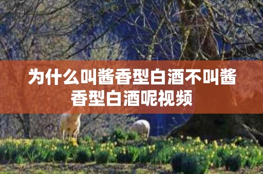 为什么叫酱香型白酒不叫酱香型白酒呢视频