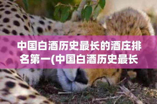 中国白酒历史最长的酒庄排名第一(中国白酒历史最长的酒庄排名第一是哪个)