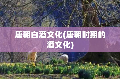 唐朝白酒文化(唐朝时期的酒文化)