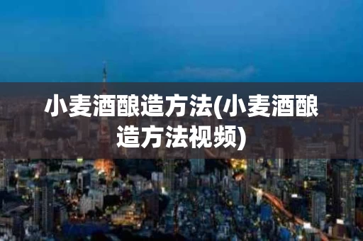 小麦酒酿造方法(小麦酒酿造方法视频)