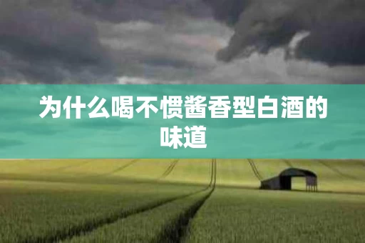 为什么喝不惯酱香型白酒的味道