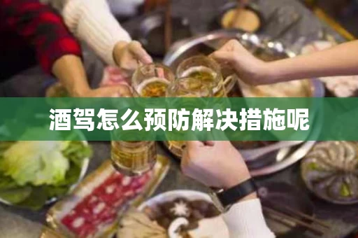 酒驾怎么预防解决措施呢