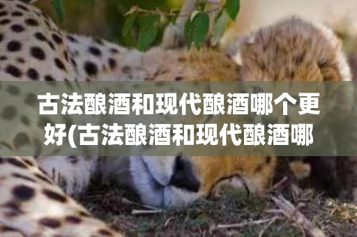 古法酿酒和现代酿酒哪个更好(古法酿酒和现代酿酒哪个更好一些)