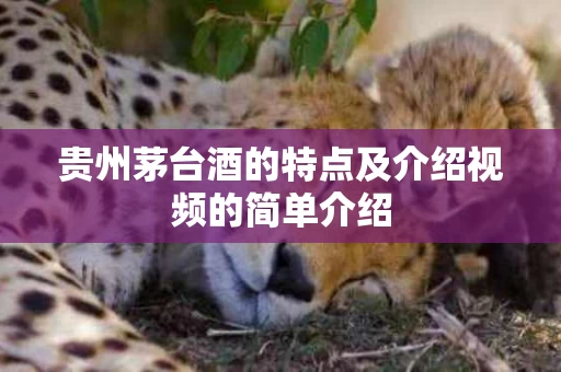 贵州茅台酒的特点及介绍视频的简单介绍