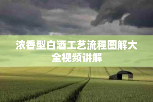 浓香型白酒工艺流程图解大全视频讲解