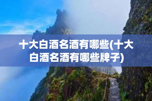 十大白酒名酒有哪些(十大白酒名酒有哪些牌子)