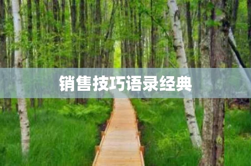 销售技巧语录经典