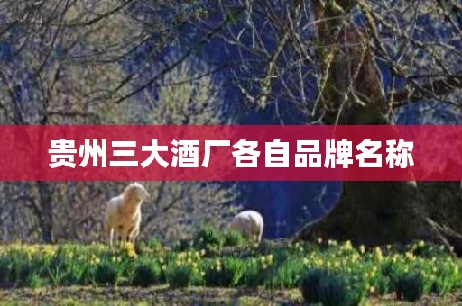 贵州三大酒厂各自品牌名称