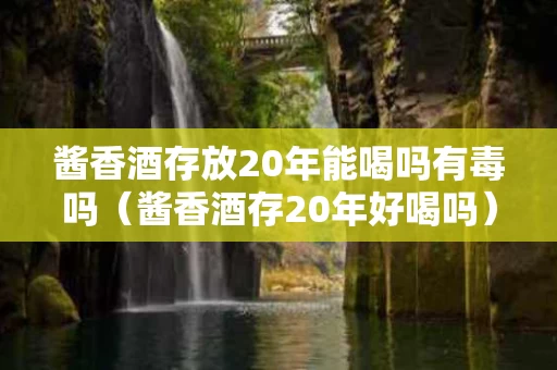 酱香酒存放20年能喝吗有毒吗（酱香酒存20年好喝吗）