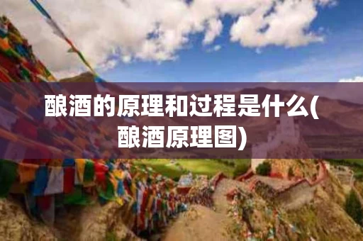 酿酒的原理和过程是什么(酿酒原理图)
