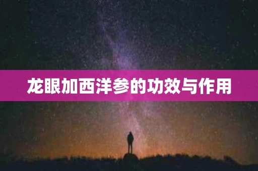 龙眼加西洋参的功效与作用