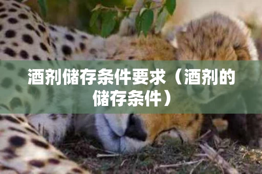 酒剂储存条件要求（酒剂的储存条件）