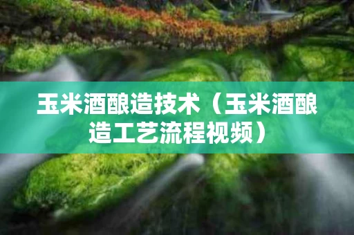 玉米酒酿造技术（玉米酒酿造工艺流程视频）