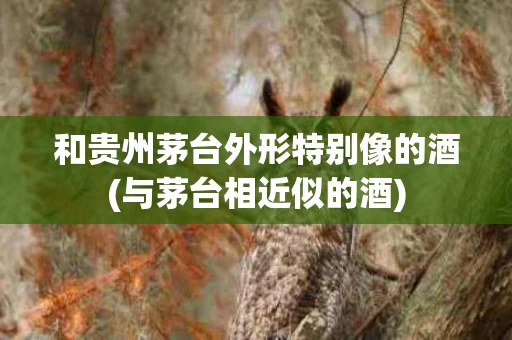 和贵州茅台外形特别像的酒(与茅台相近似的酒)