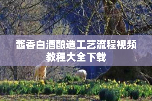 酱香白酒酿造工艺流程视频教程大全下载