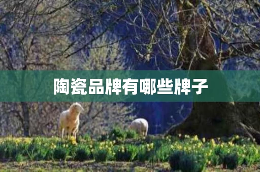 陶瓷品牌有哪些牌子