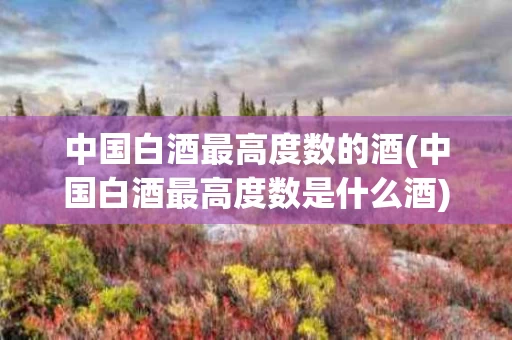 中国白酒最高度数的酒(中国白酒最高度数是什么酒)