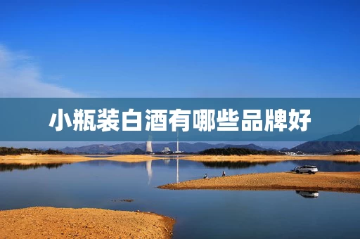 小瓶装白酒有哪些品牌好