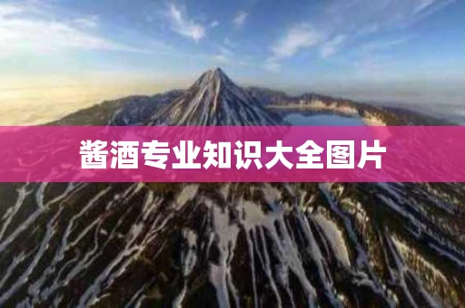 酱酒专业知识大全图片