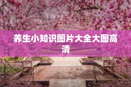 养生小知识图片大全大图高清