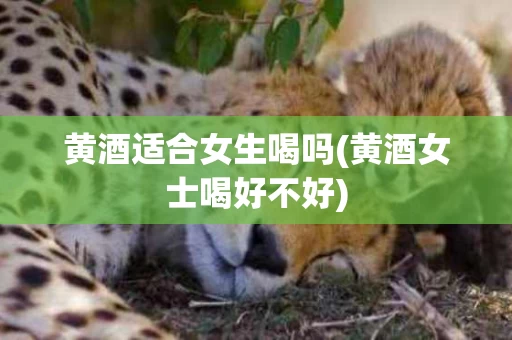 黄酒适合女生喝吗(黄酒女士喝好不好)