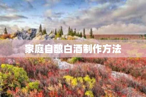 家庭自酿白酒制作方法