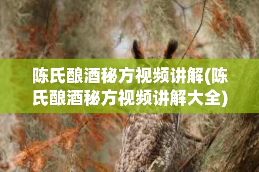 陈氏酿酒秘方视频讲解(陈氏酿酒秘方视频讲解大全)