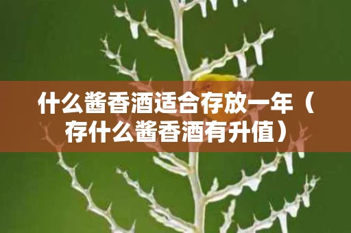什么酱香酒适合存放一年（存什么酱香酒有升值）