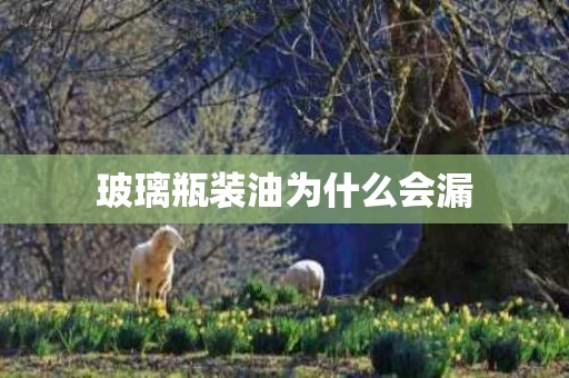 玻璃瓶装油为什么会漏