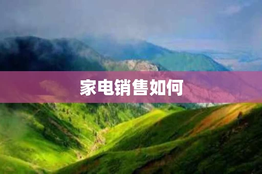 家电销售如何
