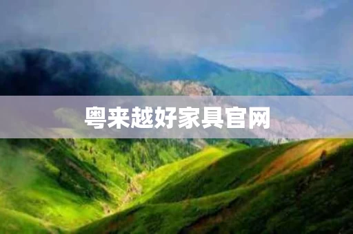 粤来越好家具官网