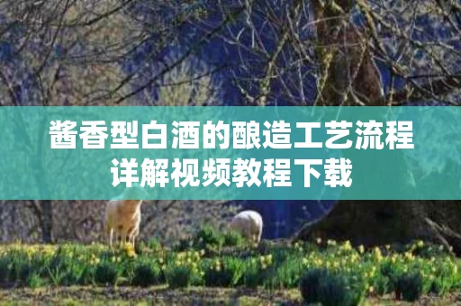 酱香型白酒的酿造工艺流程详解视频教程下载